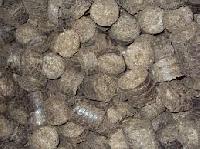 Agro Waste Briquettes