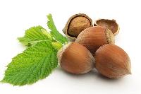 Hazelnuts