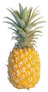 Ripe Pineapple