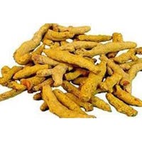 Turmeric Finger