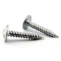 Stainless Steel Self Tapping Screws