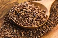 Buckwheat