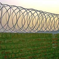 Concertina Wire