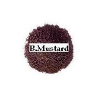 Black Mustard Seeds