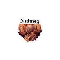 Nutmeg