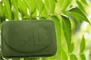 Neem Soap