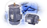 Inverter Duty Motor