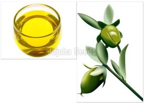 Jojoba Seeds Oil