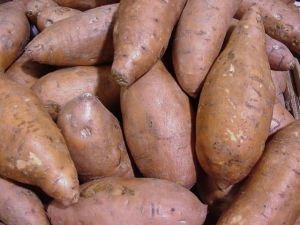 Sweet potato