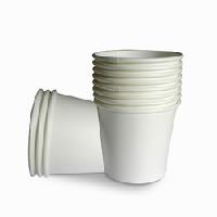 Tea Disposable Cup