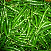 Fresh Green Chilli