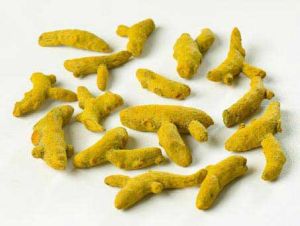 Turmeric Fingers