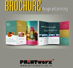 Catalogs and Brochure