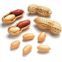 Shelled Peanuts