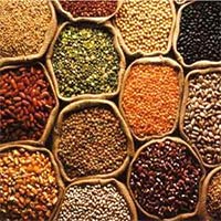 Indian Pulses