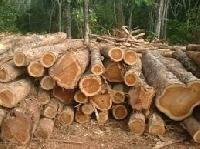 Teak Wood Round Logs