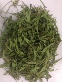 Stevia Leave