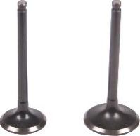 Exhaust Valves