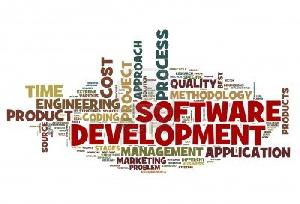 customised software development