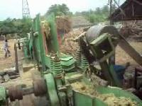 jaggery plants