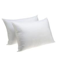 Foam Pillows