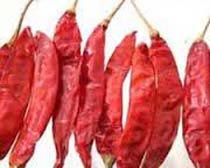 S4 Dried Red Chilli