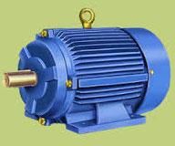 Electric Motor