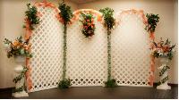 wedding backdrops