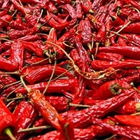 Red Chili