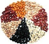 Kidney Beans - Rajma