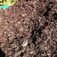 Organic Cow Manure