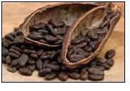 Cocoa Beans