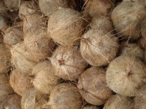 Husked coconuts