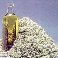 Refined Cottonseed Oil