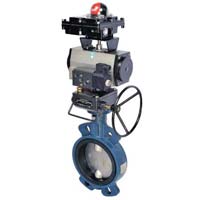 Sleeved Butterfly Valve