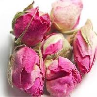 organic rose flower