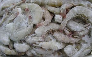Headless Shrimps Headless Shrimps