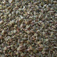 Ajwain Seeds