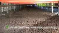 Vermicompost Fertilizer