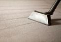 Carpet Cleaning Services