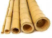 Bamboo Poles