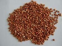 Red Sorghum Seeds