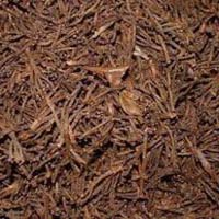 Clove Stems