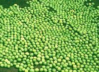 Green Moong Beans