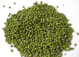 Green Mung Beans