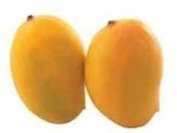 Fresh Mango