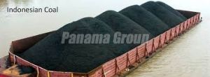 Indonesian Coal