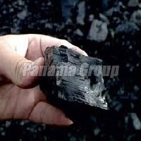 Steam Coal