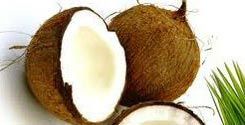 Coconut