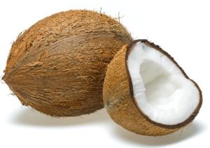 Coconut